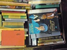 A quantity of children's pony stories in