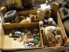 A large collection of owl models