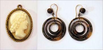 Pair of tortoiseshell type locking circu