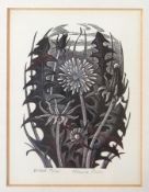 Monica Poole (1921-2003)