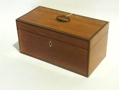 Sheraton satinwood rectangular tea caddy