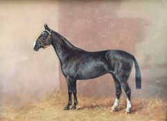 Late 19th/early 20th century school