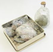 A tin containing a quantity of shillings