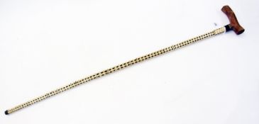 Shark vertebrae walking stick