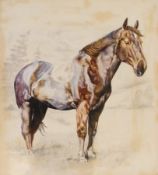 Flavia Phillips
Watercolour drawing
