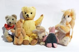 Dean's squirrel, piglet,