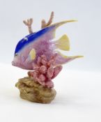 Royal Worcester 