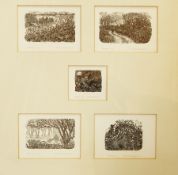 Miriam Macgregor
Five limited edition wood engravings

