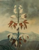 Three various botanical prints and two other decorative prints