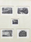 Miriam Macgregor
Five limited edition wood engravings
