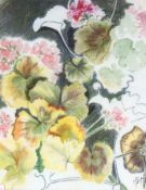 Margaret Murray
Watercolour drawing
