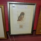 A framed and glazed modern print of an owl with ''AD'' stamp and signed A. Durer-Haus, 2006