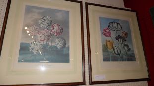 A pair of botanical style prints of tulips and carnations