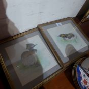 A pair of pencil studies of ducks by Pat