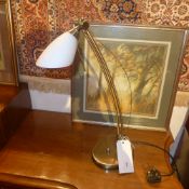 A contempary designer desk lamp with opa
