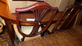 A set of six harlequin chair including V