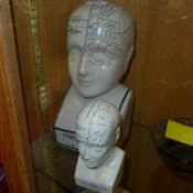 Two pottery phrenology busts