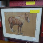 A pastel study portrait of a horse 'Kitt
