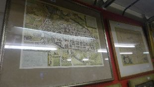 A colour Hungarian map framed and glazed