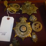 A collection of various cap badges including large York and Lancaster badge and South Wales
