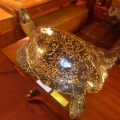 A resin model of a turtle