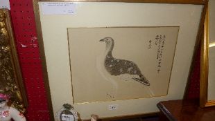A colour print depicting exotic bird and a print of collection of bird eggs framed and glazed