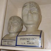 A pair of ceramic phrenology heads