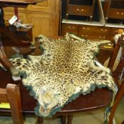 A late Victorian taxidermy of leopard pe