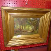 An oil on canvas of woodland scene ''Oak wood'' monogrammed PB in gilt frame