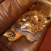 A resin model of a turtle