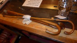A collection of four old walking sticks
