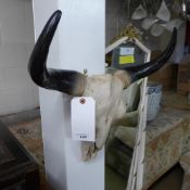 A faux skull and horns