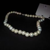 A pearl necklace with a sterling silver clasp