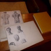 A vintage medical book of diagrams of the human body and an ostrich skin photo album