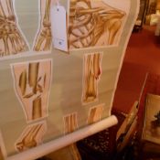 A pair of vintage St Johns Ambulance association anatomical students wall charts depicting bone