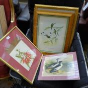 A set of three botanical prints and two