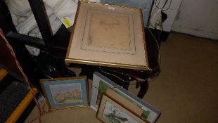 A collection of prints framed and glazed
