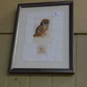 A framed and glazed modern print of an owl in the Durer style, with A.D. stamp and signed in pencil,