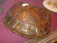 An antique tortoiseshell