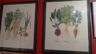 A pair of glazed and framed limited Susie Ray lithographs studies of vegetables