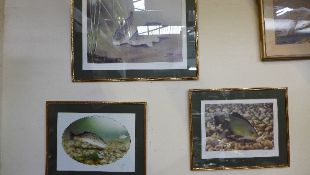 A set of limited edition prints of Briti