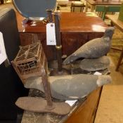 A Decoy pigeon, similar pair of sticks a