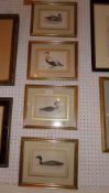 A set of four glazed and framed prints of water birds