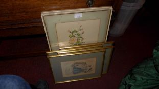 A pair of C19th botanical prints togethe