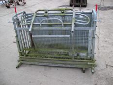 W M Ironworks Sheep Rollover Crate. Location Stalham, Norfolk.