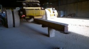 Artic Dolly.Location Happisburgh, Norfolk