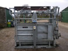 Bateman Cattle Crush with weigher and hydraulic neck scoop. Location Cambridge, Cambridgeshire.