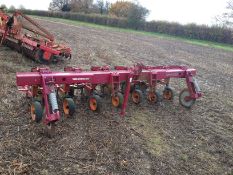 Kongskilde vibro corn 6 row beet hoe