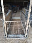 Poldenvale 9ft Footbath, Side Hurdles and Guillotine End Gate. Location Kings Lynn, Norfolk.