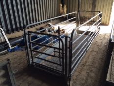 Tuffbrand 10ft Footbath, Side Hurdles and Guillotine End Gate. Location Kings Lynn, Norfolk.